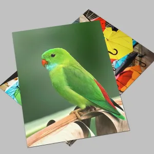 custom poster printing