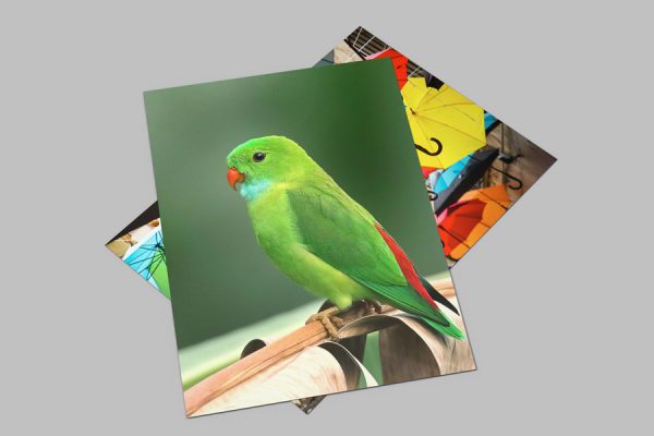 custom poster printing