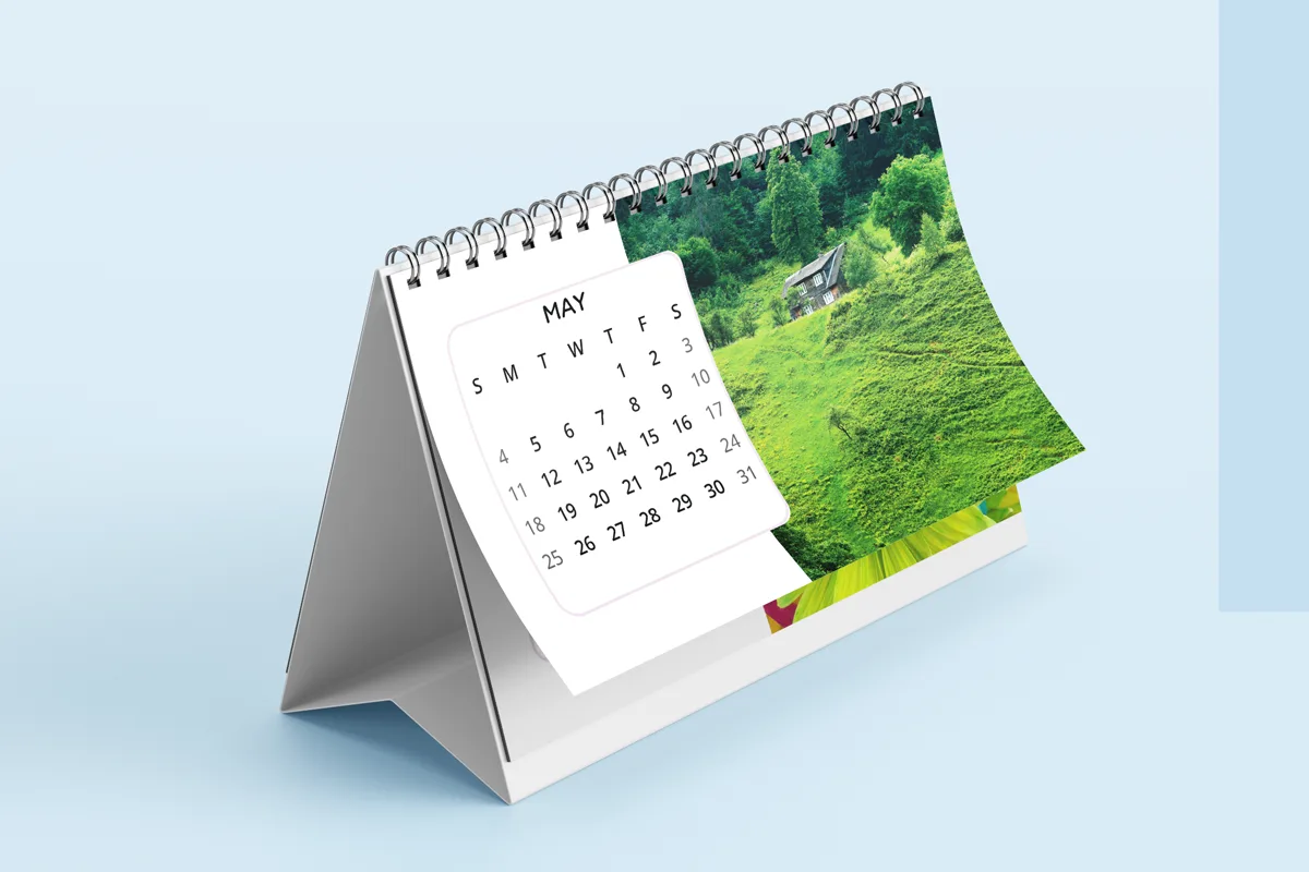 School Term 2 image