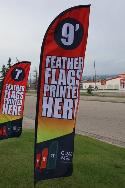 9ft feather flags