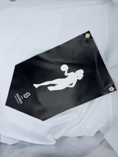 Championship Banners - Image 3